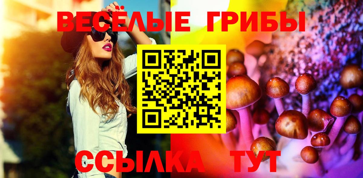 Псилоцибиновые грибы MAGIC MUSHROOMS  Вход с VPN  Строитель 